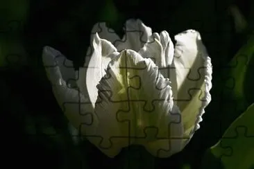 OK jigsaw puzzle