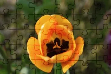 OK jigsaw puzzle