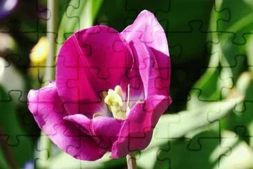 OK jigsaw puzzle