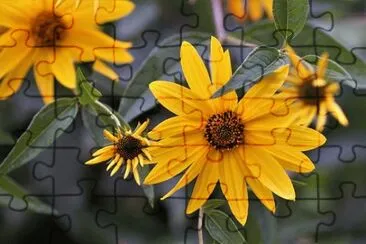 OK jigsaw puzzle