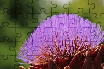 OK jigsaw puzzle