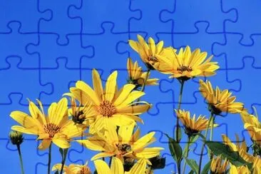 OK jigsaw puzzle