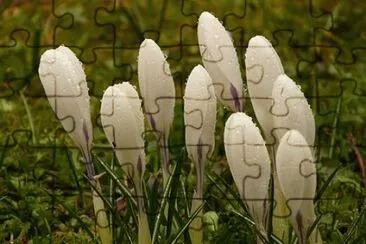 OK jigsaw puzzle