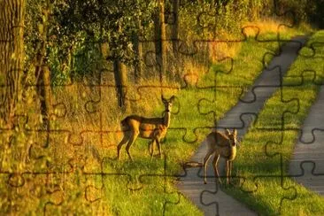 Foto jigsaw puzzle