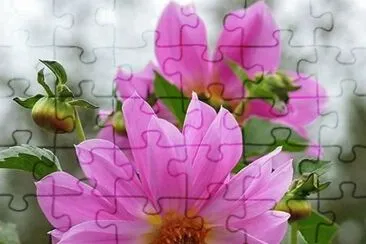 imagem jigsaw puzzle