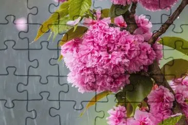 imagem jigsaw puzzle