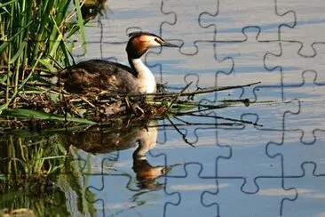 Foto jigsaw puzzle