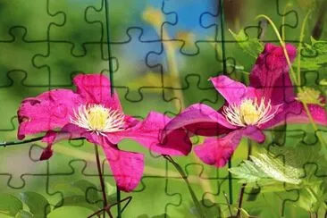 Foto jigsaw puzzle