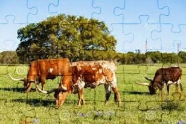 JR 030 jigsaw puzzle