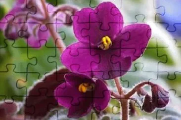 OK jigsaw puzzle