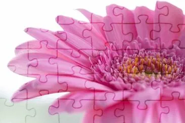 OK jigsaw puzzle