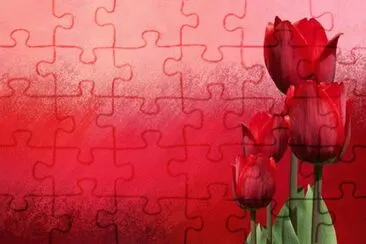 פאזל של OK
