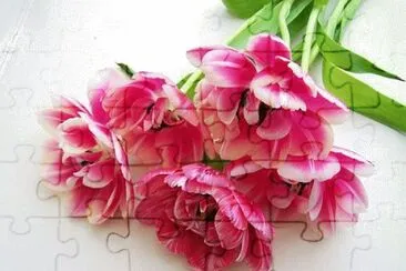 OK jigsaw puzzle