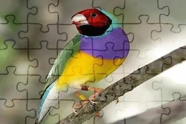 JR 039 jigsaw puzzle