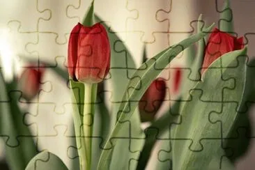 OK jigsaw puzzle