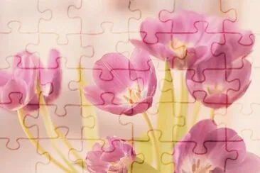 OK jigsaw puzzle