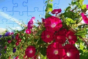 imagem jigsaw puzzle