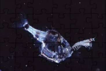 Ascia d 'argento jigsaw puzzle