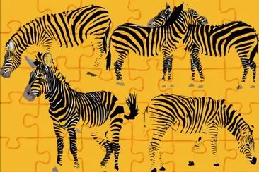 ZÃ¨bres jigsaw puzzle