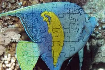 Foto jigsaw puzzle