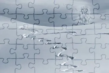 Foto jigsaw puzzle