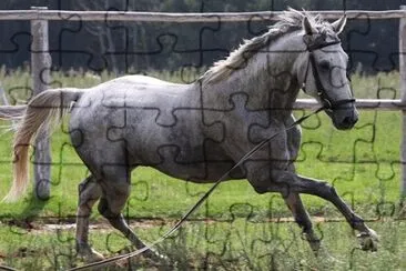 Imagem jigsaw puzzle
