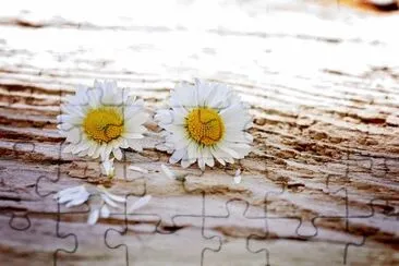OK jigsaw puzzle