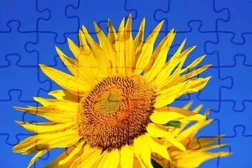 OK jigsaw puzzle