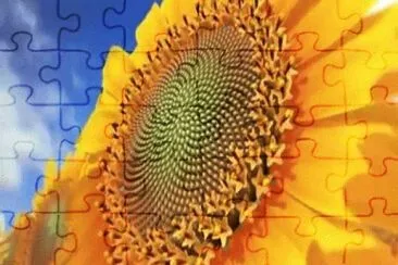 Foto jigsaw puzzle