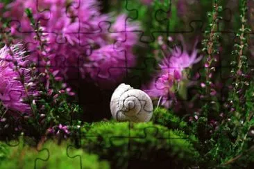 OK jigsaw puzzle
