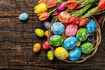 Huevos y Tulipanes