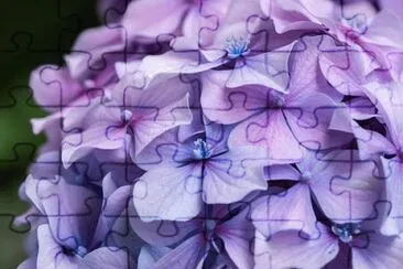 OK jigsaw puzzle