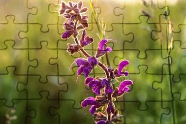 OK jigsaw puzzle