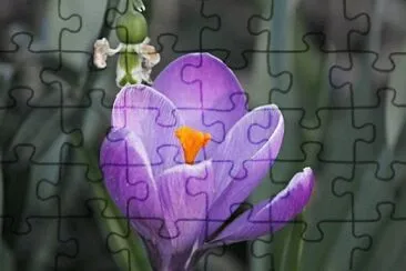 OK jigsaw puzzle