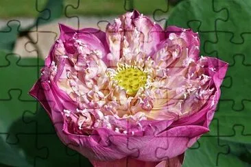 OK jigsaw puzzle