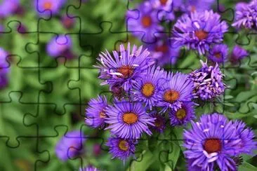 OK jigsaw puzzle