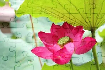 OK jigsaw puzzle