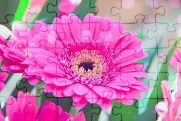 Foto jigsaw puzzle