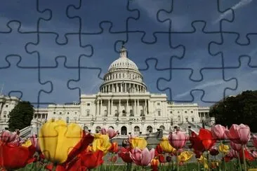 Foto jigsaw puzzle