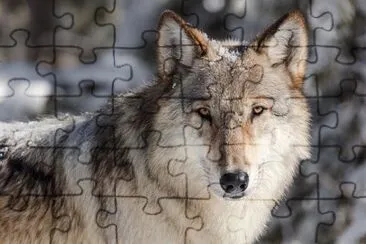 Foto jigsaw puzzle