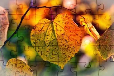 Foto jigsaw puzzle