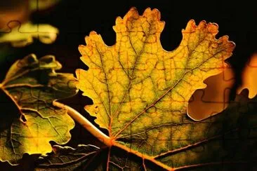 Foto jigsaw puzzle