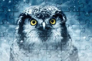 Foto jigsaw puzzle