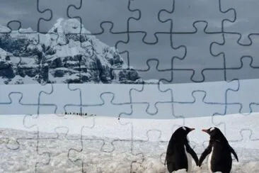 Foto jigsaw puzzle