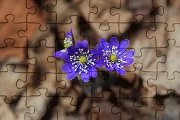 OK jigsaw puzzle