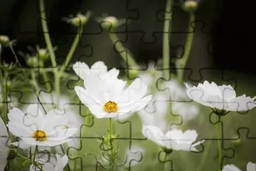 OK jigsaw puzzle
