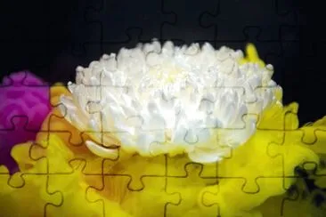 OK jigsaw puzzle