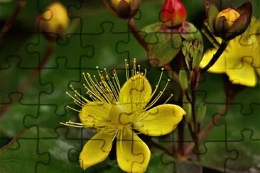 OK jigsaw puzzle