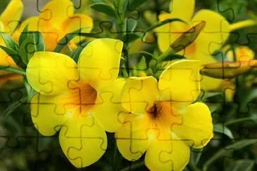 OK jigsaw puzzle