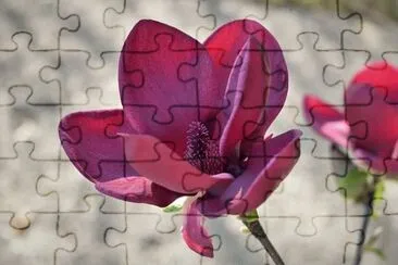 OK jigsaw puzzle
